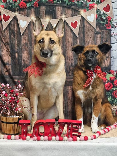 The sPaw Dog Grooming LLC