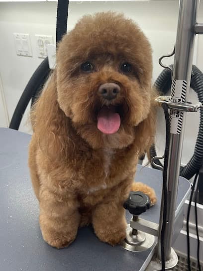 Maryland Elite Dog Spa, LLC