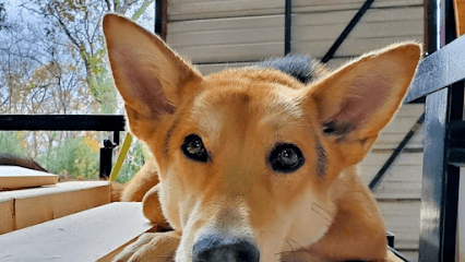Fur Baby Pet Resort - Milford, DE