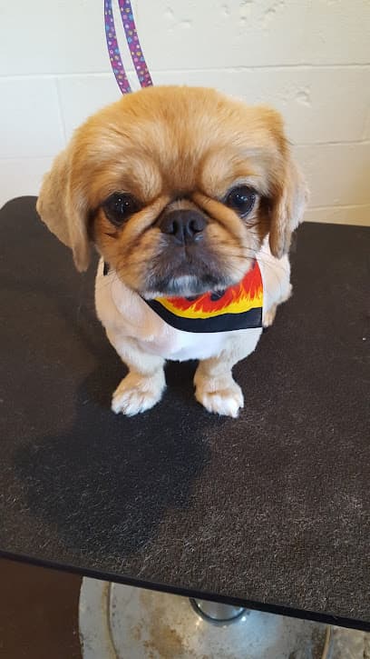 Grooming By Brenda