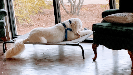 Doggie Bath House