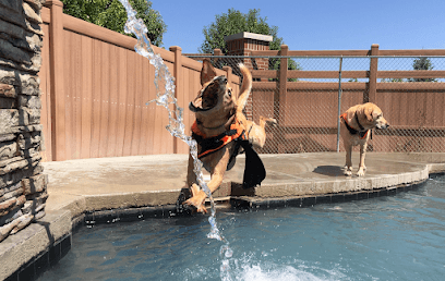 City Bark Denver