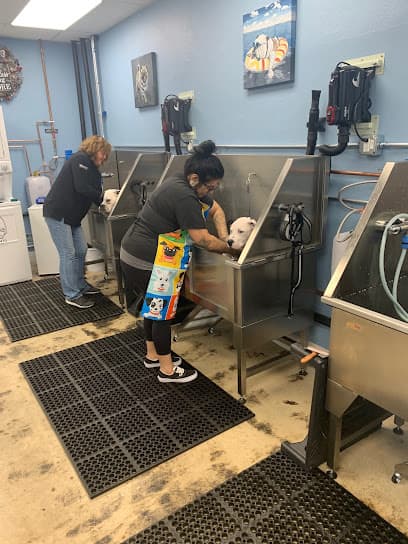 Sham-Paws Self Serve Dog Wash