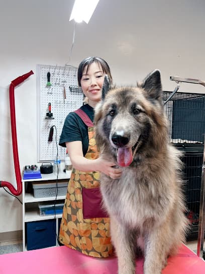 Pet Spa Dog Grooming