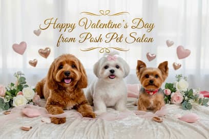 Posh Pet Salon