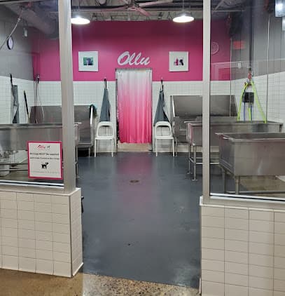 Ollu Self Serve Dogwash & Grooming Salon