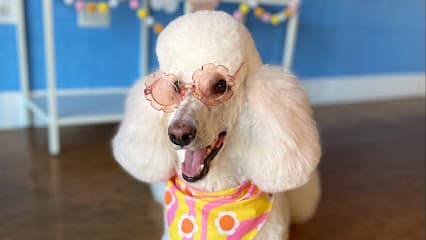 PaWash Pet Spa LLC
