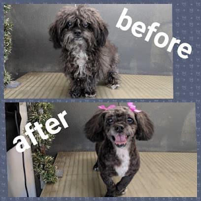 Collar Cuts Mobile Pet Grooming