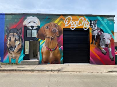 Dogcity - Daycare + Grooming