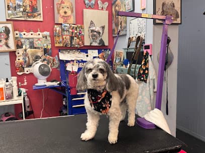 Doggy Gone Beautiful