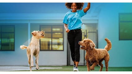 Pet Paradise Birmingham