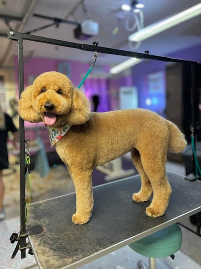 Bubbles N Cuddles Grooming Salon