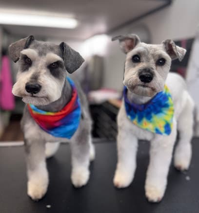 Southern Paws Pet Spa