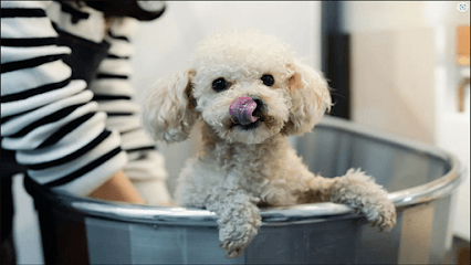 Petworks Dog Grooming