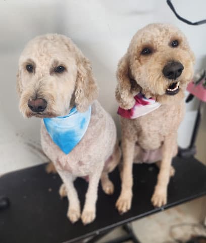 Grooming by Ciara