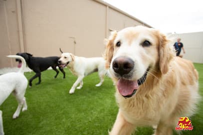 The Dog Stop - Baton Rouge (South)