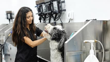 Sparkle Grooming Co.