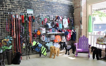 Dog Days of Birmingham