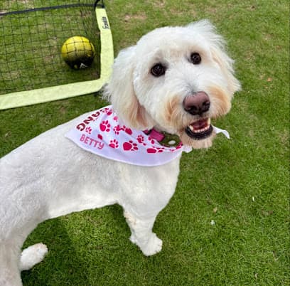 Woof Gang Bakery & Grooming Beltline