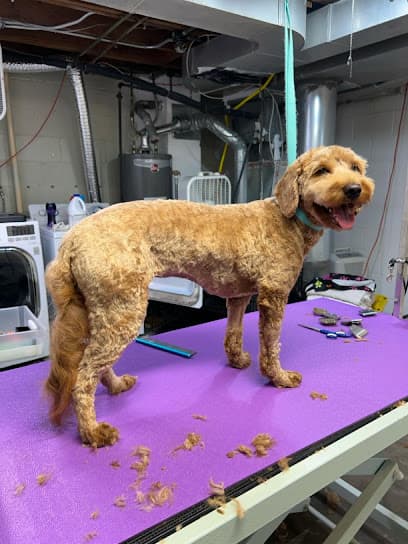 Becky's Fur Babies Dog Grooming Salon