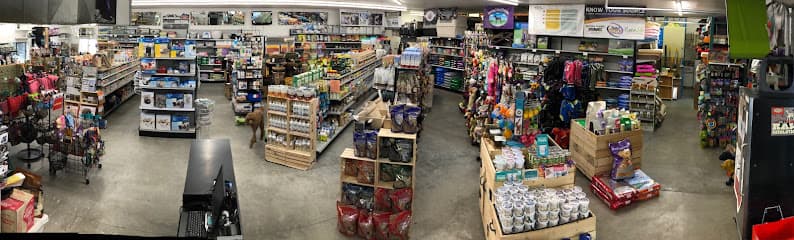 Pet Place Plus