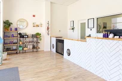 Wild Dog Grooming