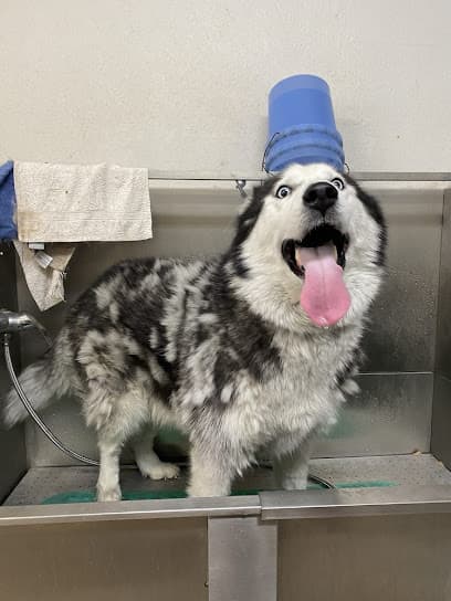 Paws Place Grooming