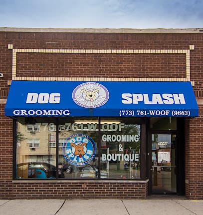 Dog Splash