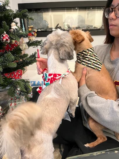 Soi's Pet Salon