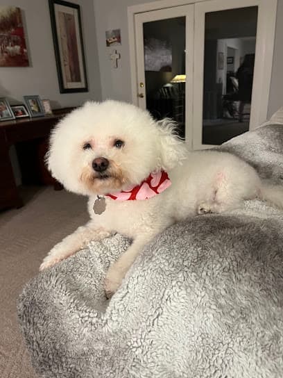 Bark & Bubbles Pet Salon