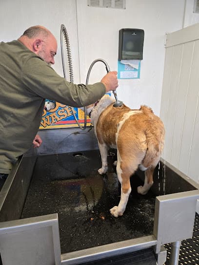 Clean Spot Pet Wash