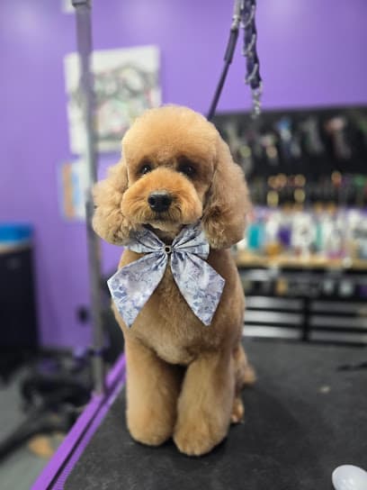 Bark Side of the Groom