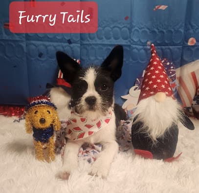 Fuzzy Tails dog grooming