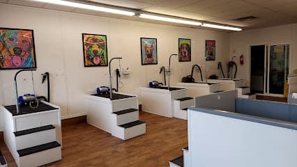 Dog Gone Clean- Dog Grooming and Self Service Dog Wash - Beaverton/Portland