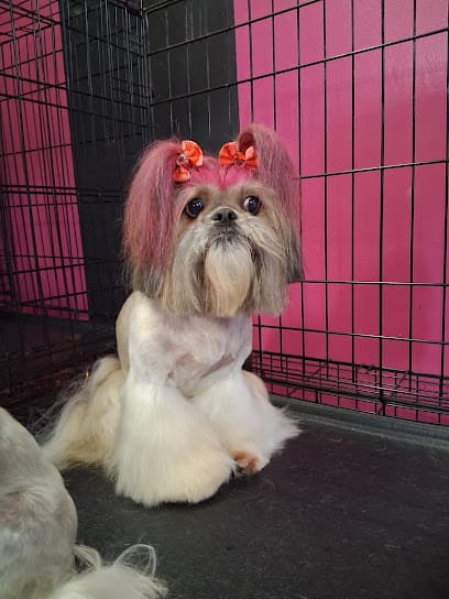 Lacy grooming spa