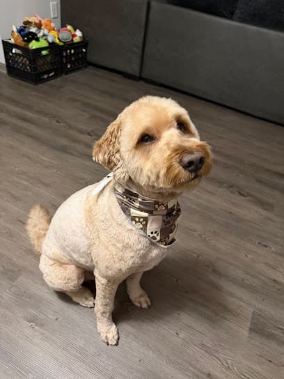Woof Gang Bakery & Grooming Midland Commons