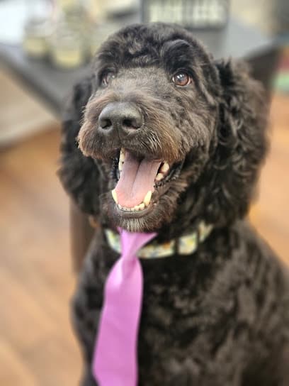 Pawfection Grooming Salon LLC
