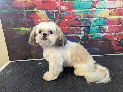 Punky Pets Pawlor LLC