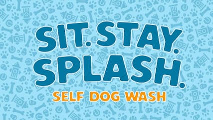 Sit Stay Splash - Self Dog Wash & Grooming