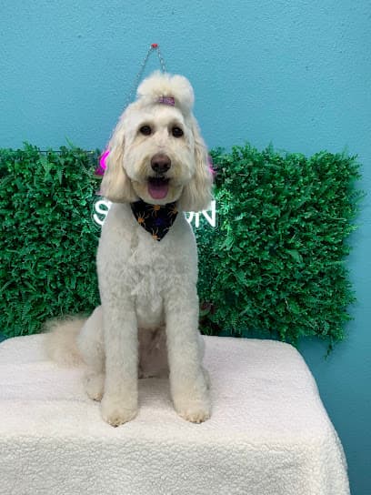 Groomed by Adrian