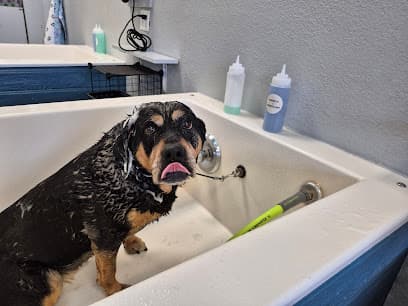 Dirty Paws