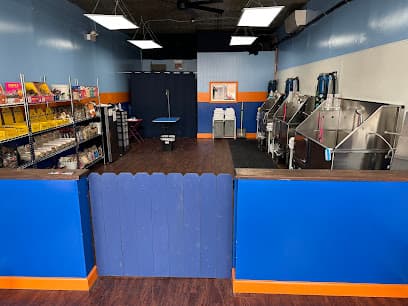 All Star Pet Care Grooming & Self Wash