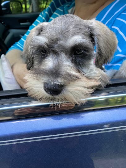 DIRTY DOG SALOON LLC