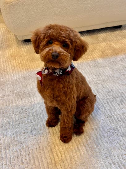 It's a Paw Thang, LLC