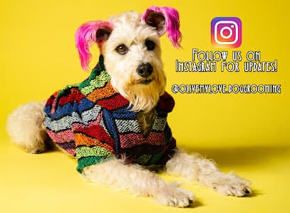 Olive, My Love Dog Grooming
