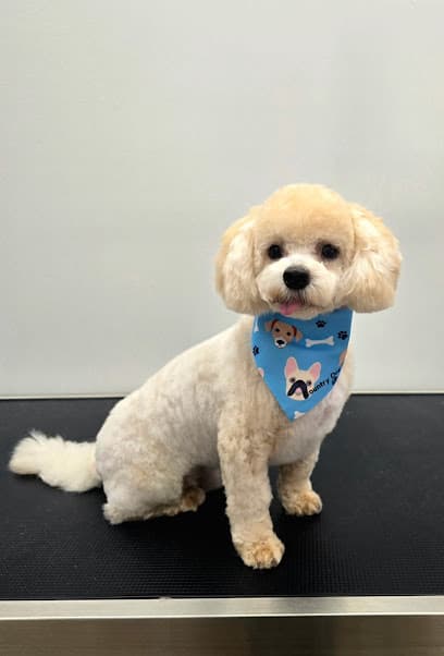 Country Dog Market & Grooming
