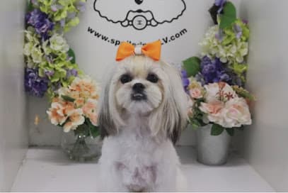 Spoiled Pup LV - Dog Grooming - Puppies for Sale