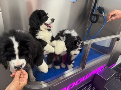 Nebraska Dog Wash