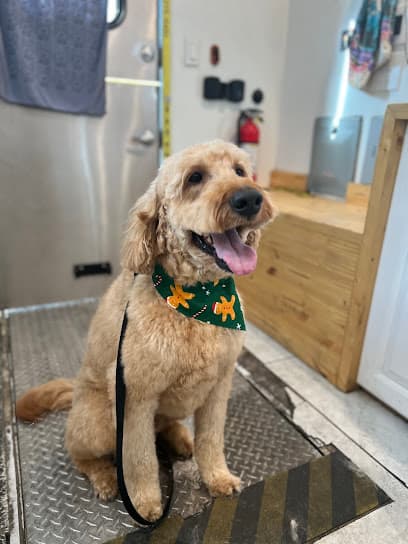 Mobile Dog Grooming Service