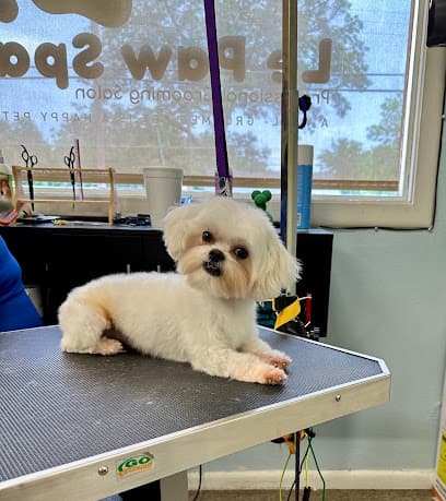 Le Paw Spa Professional Grooming Salon